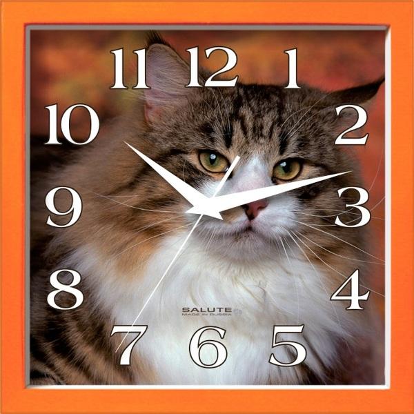 Салют ПЕ - А2.1 - 282 - фото 1