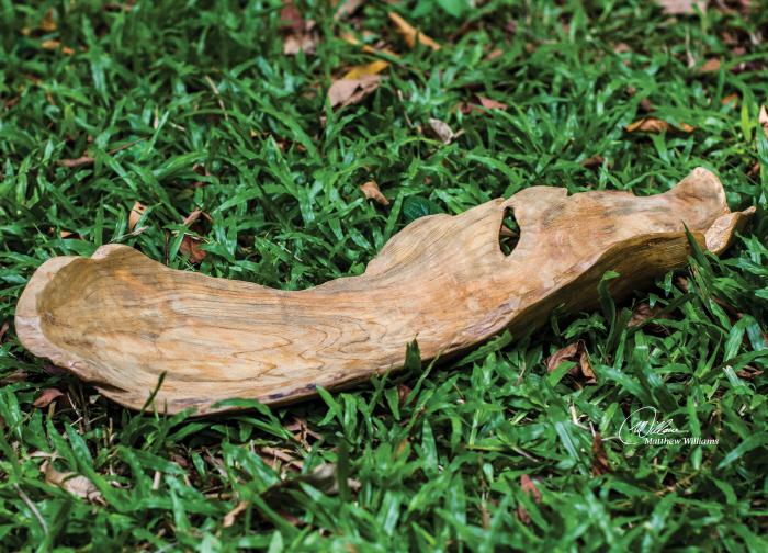 Uttermost 17085 Teak Leaf Bowl - фото 1