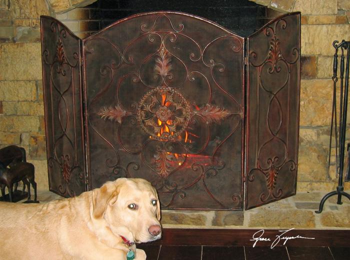 Uttermost 20508  Egan, Fireplace Screen - фото 1