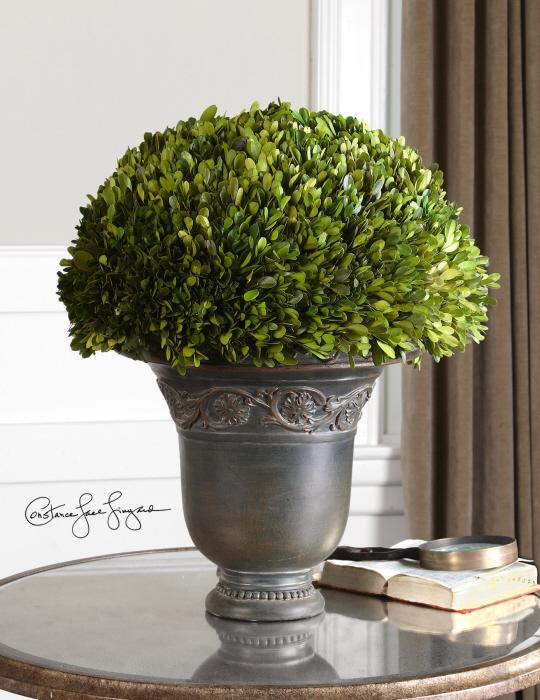 Uttermost 60092 Preserved Boxwood,Globe - фото 1