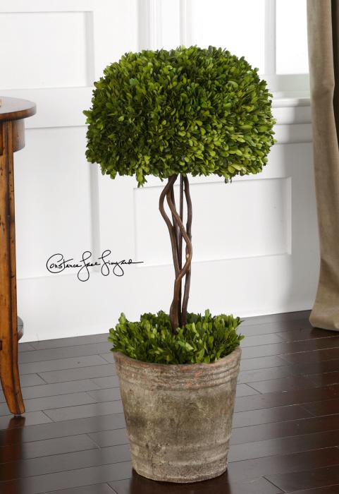 Uttermost 60095 Preserved Boxwood, Tree Topiary - фото 1