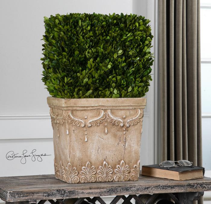 Uttermost 60110 Boxwood, Hedge Planter - фото 1