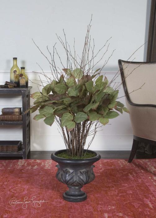 Uttermost 61001 Sweet Salal, Evergreen Plant - фото 1