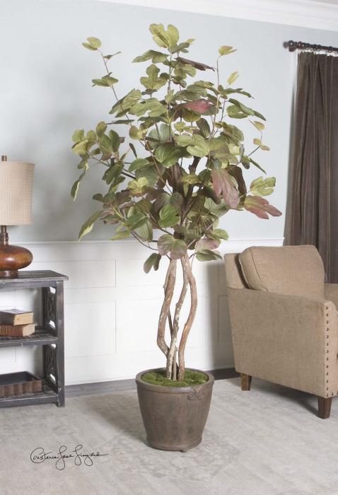 Uttermost 61003 Katreil, 7